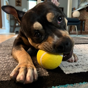 Fundraising Page: Danielle LaVaque-Manty